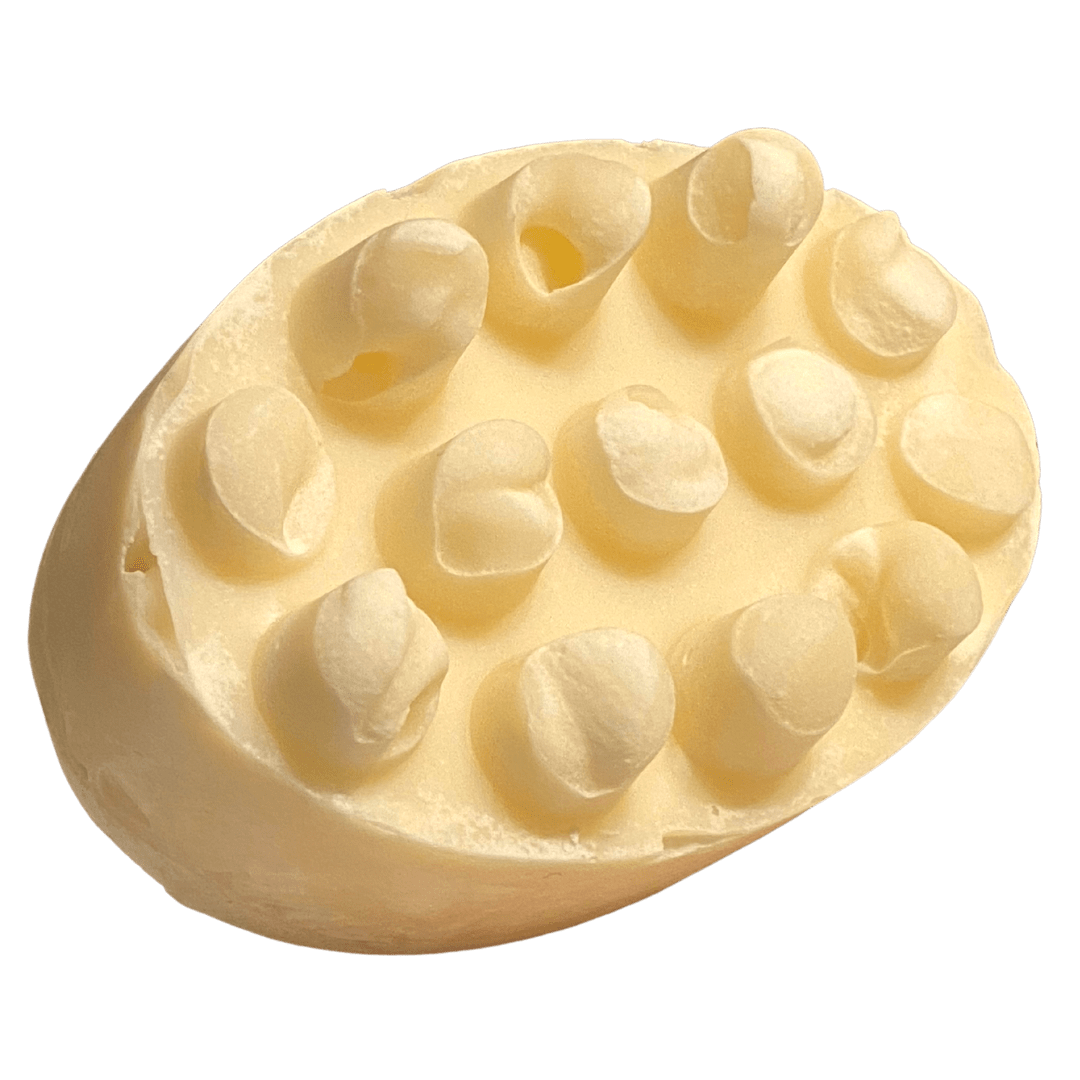Pure Skin * Simply Clean Shampoo Bar