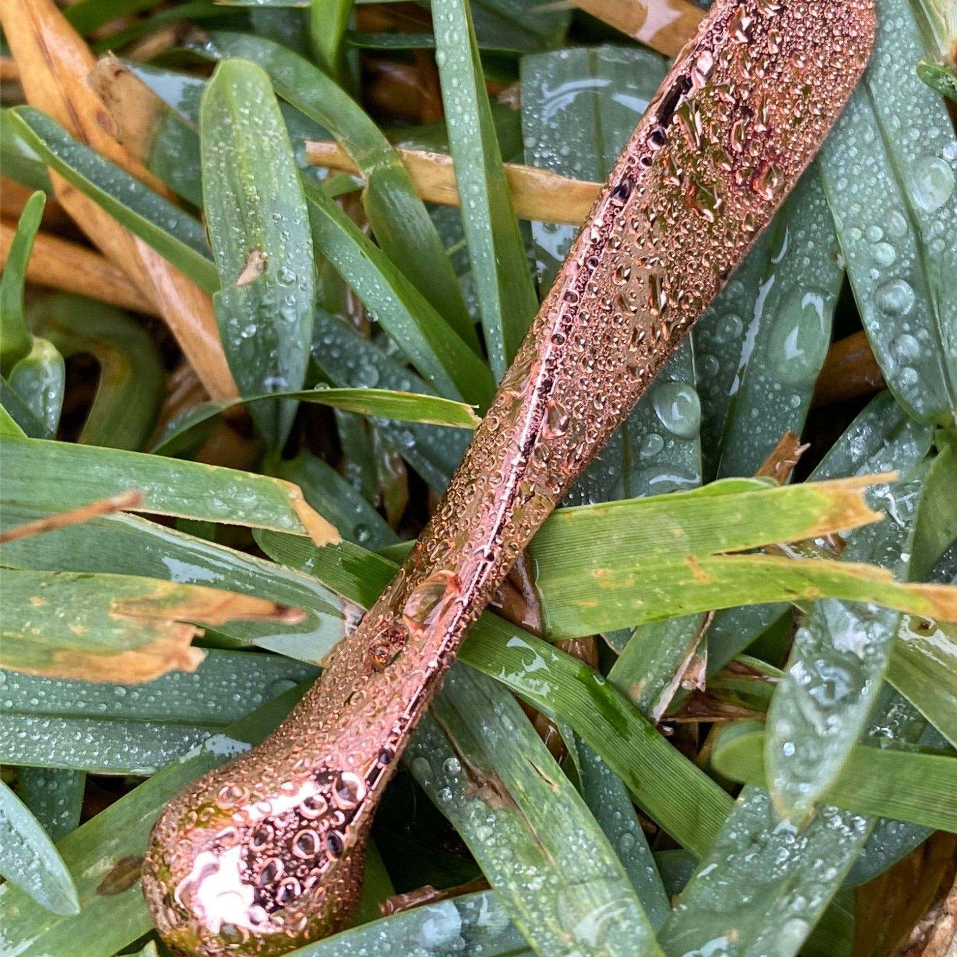 Pure Skin Rose Gold Beauty Wand